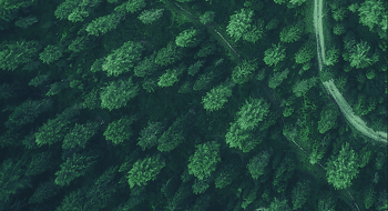 ezpay科技 |  让火灾远离森林